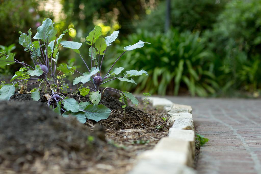 Harvest Inn St. Helena Luaran gambar