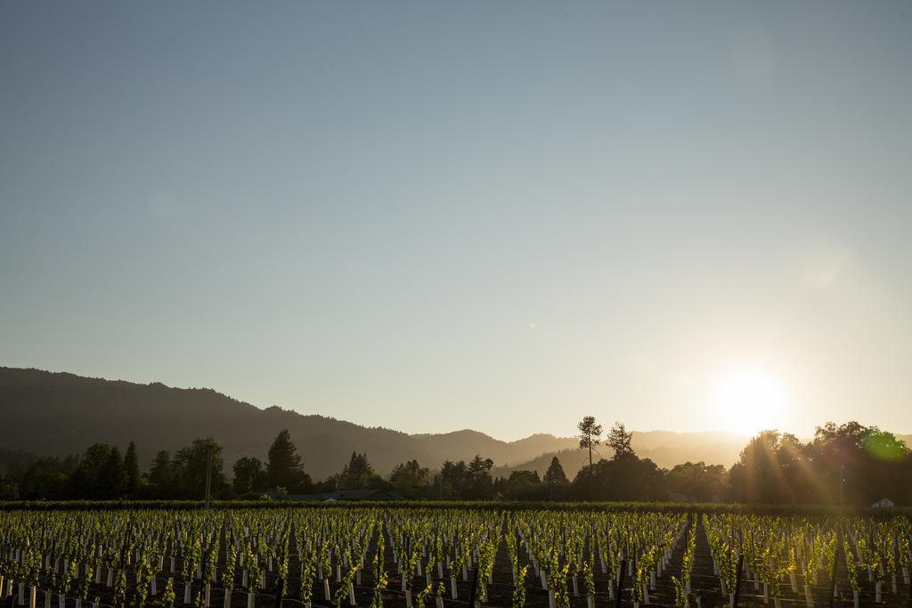 Harvest Inn St. Helena Luaran gambar