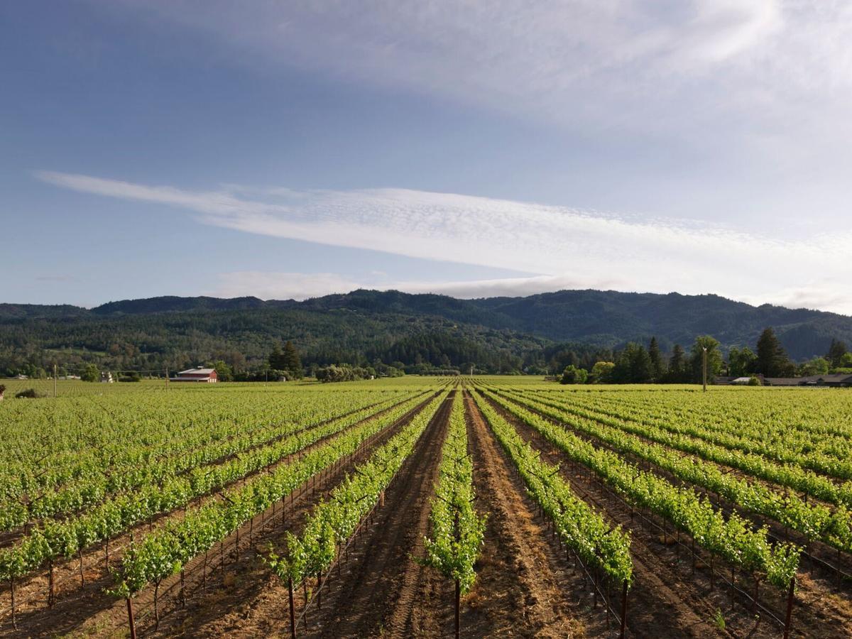 Harvest Inn St. Helena Luaran gambar